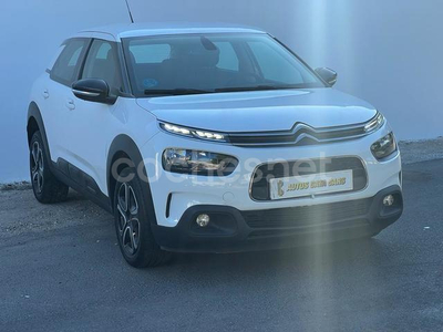 CITROEN C4 Cactus BlueHDi 100 SS Shine Pack 5p.