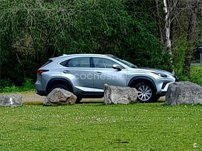 LEXUS NX 2.5 300h Business 2WD 5p.