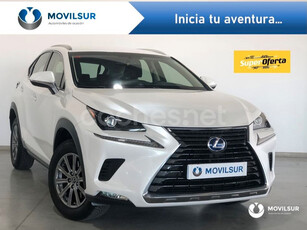 LEXUS NX 2.5 300h Business Navigation 2WD 5p.