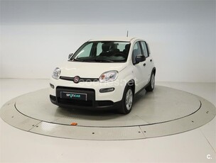 FIAT Panda Panda Hybrid 1.0 51kw 70CV 5p.