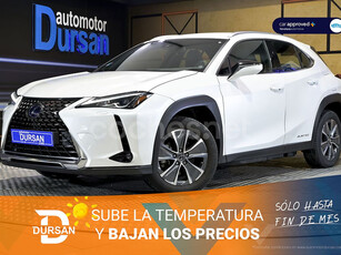 LEXUS UX 300e Business 5p.