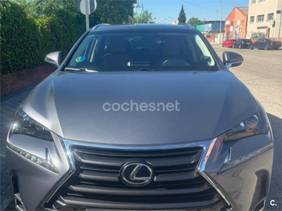 LEXUS NX 300h Executive 4WD 5p.