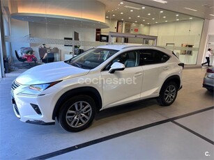 LEXUS NX 2.5 300h Executive Navigation 4WD 5p.