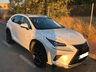 LEXUS NX 2.5 300h Executive Navigation 4WD 5p.