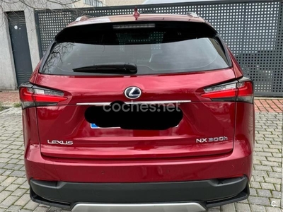 LEXUS NX 2.5 300h Executive 4WD 5p.