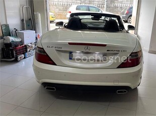 MERCEDES-BENZ Clase SLK SLK 250 CDI CarbonLOOK Edition 2p.