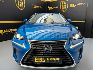 LEXUS NX 2.5 300h Executive Navigation 4WD 5p.