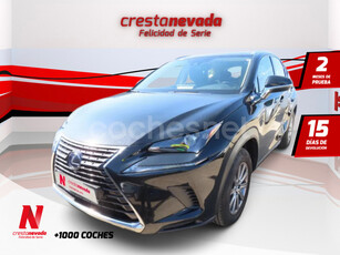 LEXUS NX 2.5 300h Business Navigation 2WD 5p.