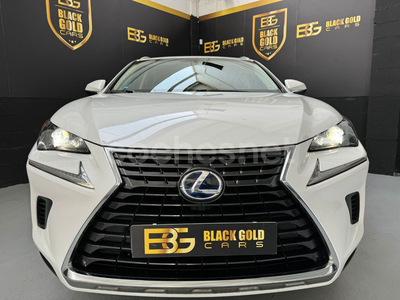 LEXUS NX 2.5 300h Business Navigation 2WD 5p.