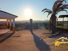 Venta Chalet en Camino del Peral Mérida. 10000 m²