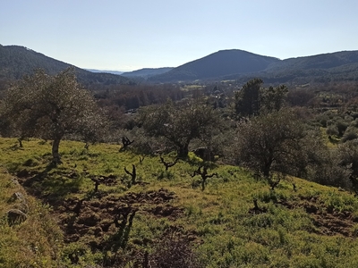 Terreno no urbanizable en venta en la Cañada Real Leonesa Occidental' Mombeltrán