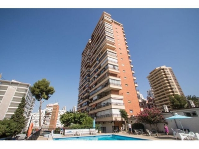 Apartamento Benidorm Edificio Piscis