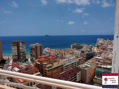 Venta Piso Benidorm