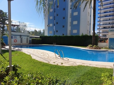 Alquiler vacaciones de piso con piscina y terraza en Playa de Gandía (Gandia), apartamentos PALMERAS III
