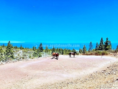 Finca/Casa Rural en venta en Granadilla de Abona, Tenerife