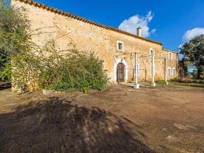 Finca/Casa Rural en venta en Llubí, Mallorca