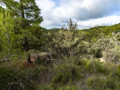 Solar/Parcela en venta en Galilea, Puigpunyent, Mallorca