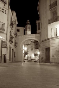 Alquiler Integro en Valencia