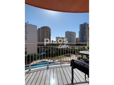 Apartamento en alquiler en Avenida de la Constitucio, 1