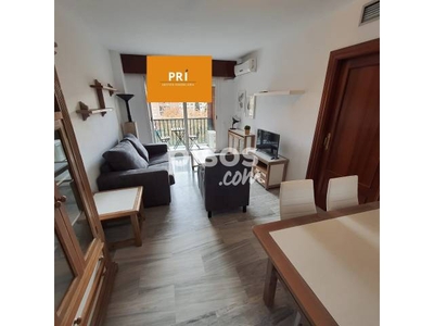 Apartamento en alquiler en Pajaritos-Plaza de Toros