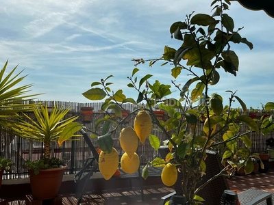 Ático terraza tres habitaciones en El Camp de l´Arpa del Clot Barcelona