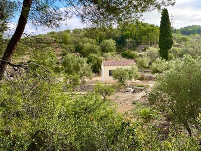 Finca/Casa Rural en venta en El Perelló, Tarragona