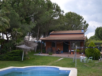 Finca/Casa Rural en venta en Hinojos, Huelva