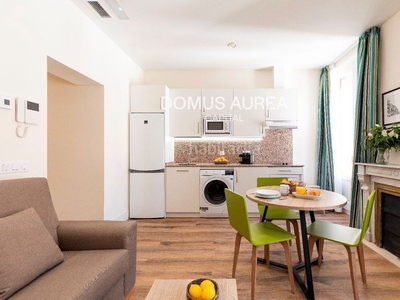 Alquiler piso en alquiler con 70 m2, 2 habitaciones y 1 baños, ascensor, amueblado, aire acondicionado y calefacción central. en Madrid