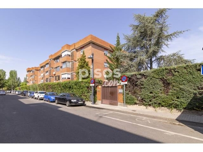 Piso en venta en Calle de Tomás Pierri, 4