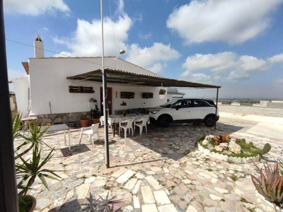 Venta Chalet San Fulgencio. 231 m²