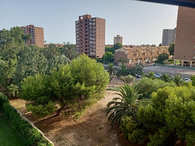Venta Piso Alicante - Alacant. Piso de tres habitaciones Tercera planta con terraza