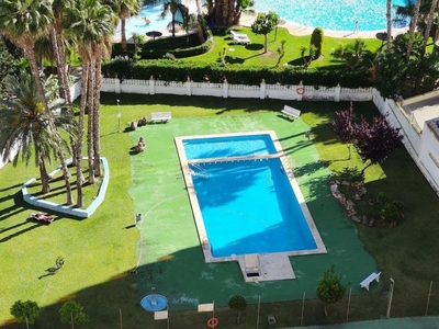 Venta Piso Benidorm. Piso de dos habitaciones 12 con terraza