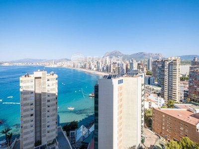 Venta Piso Benidorm. Piso de dos habitaciones Décima planta plaza de aparcamiento