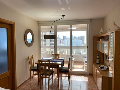 Venta Piso Benidorm. Piso de dos habitaciones en Avda Juan Fuster Zaragoza. 14 con terraza