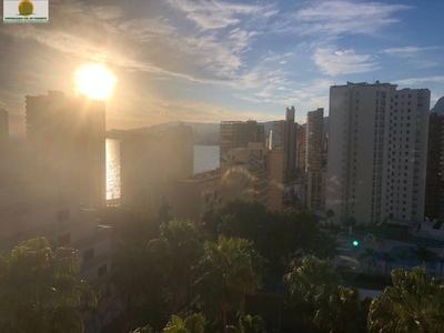 Venta Piso Benidorm. Piso de dos habitaciones Séptima planta con terraza