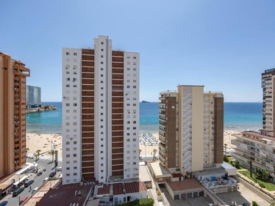 Venta Piso Benidorm. Piso de una habitación 12 con terraza