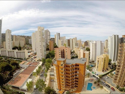 Venta Piso Benidorm. Piso de una habitación 13