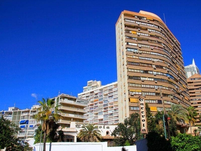 Venta Piso Benidorm. Piso de una habitación en Bruselas. Octava planta con terraza