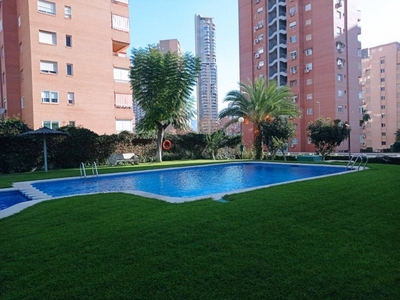 Venta Piso Benidorm. Piso de una habitación Octava planta con terraza