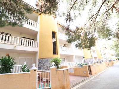 Venta Piso Orihuela. Piso de dos habitaciones en Calle. Lomas de Cabo Roig-Los Dolses Orihuela (Alicante). Buen estado
