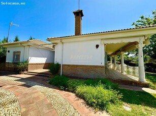 ZONA CTRA. PALMA DEL RIO - Precioso chalet de 140 m2 en parcela de 1500 m2 con luz y agua potable.