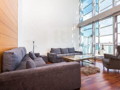 Alquiler piso exclusive penthouse with private pool and sea views - paseo garcia faria en Barcelona