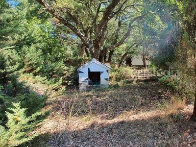 Casa finca rustica 17769m2 de terreno a pies del montseny en Sant Celoni