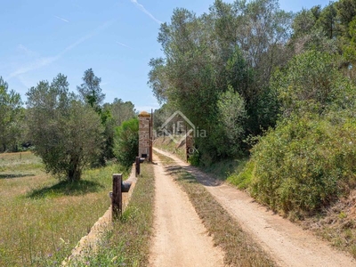 Casa masía del siglo xvii totalmente renovada con 2,4 hectáreas de terreno en venta a 4 km del mar en baix empordà en Vall-llobrega