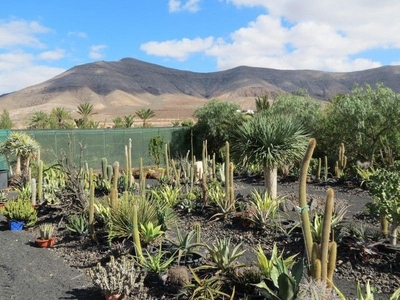 Finca/Casa Rural en venta en Puerto del Rosario, Fuerteventura