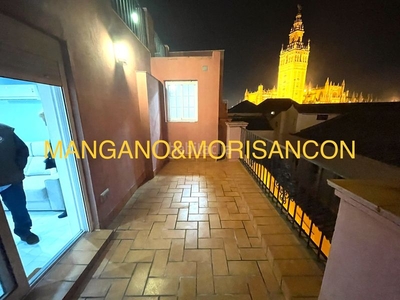 Alquiler piso amueblado con calefacción y aire acondicionado en Sevilla