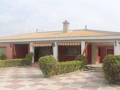 Venta Casa unifamiliar en Cmno Las Palmeras A-477 Sanlúcar la Mayor. 327 m²