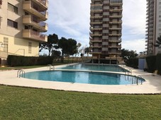 Venta Piso Benicasim - Benicàssim. Piso de una habitación en Calle PALMERAL. A reformar octava planta con terraza