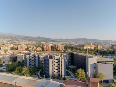 Venta Piso Granada. Piso de dos habitaciones Buen estado