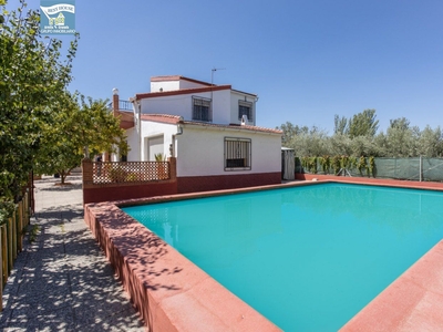 Venta de casa con piscina y terraza en Alhendín, Camino de Gabia